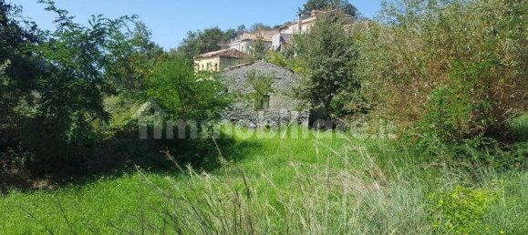 10000m² Land in Belvedere Marittimo, Italy No. 157320 2