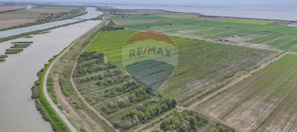 59000m² Land in Goro, Italy No. 365165 6