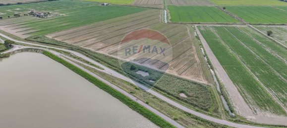 59000m² Land in Goro, Italy No. 365165 19