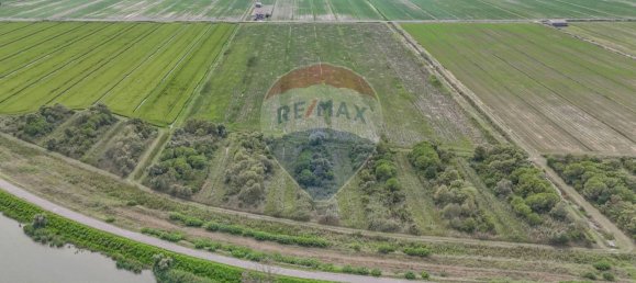 59000m² Land in Goro, Italy No. 365165 8