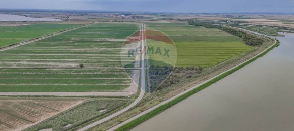 59000m² Land in Goro, Italy No. 365165 15