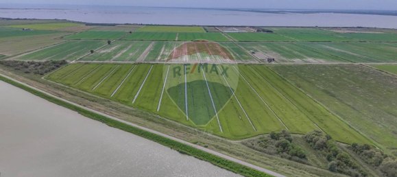 59000m² Land in Goro, Italy No. 365165 10