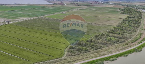59000m² Land in Goro, Italy No. 365165 11