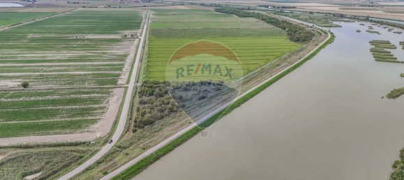 59000m² Land in Goro, Italy No. 365165 16