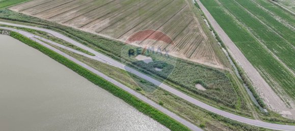 59000m² Land in Goro, Italy No. 365165 17