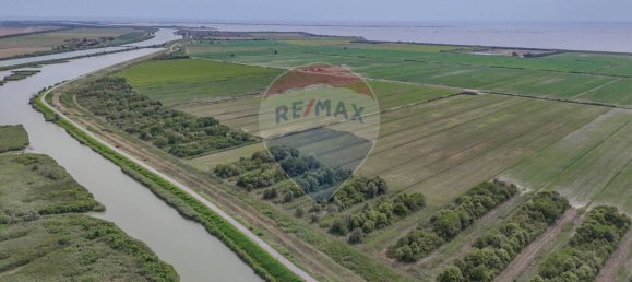 59000m² Land in Goro, Italy No. 365165 3