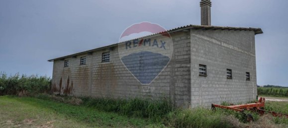 59000m² Land in Goro, Italy No. 365165 25