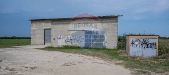 59000m² Land in Goro, Italy No. 365165 21