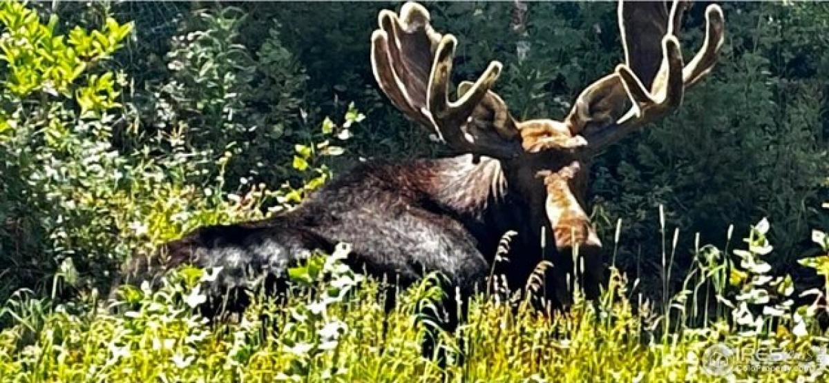 Studio in Lyons, USA No. 375339