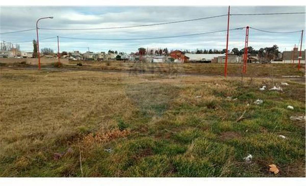 Terreno em Rio Negro, Argentina N.º 46979