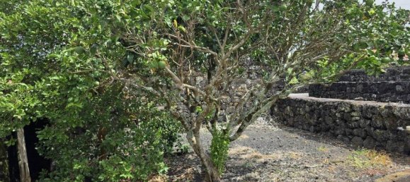 2 غرف نوم منزل في Sao Roque do Pico, Portugal رقم 295809 17