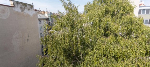 1 غرف نوم شقة في Brigittenau, Austria رقم 249430 12