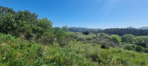 136832m² Land in Mafra, Portugal No. 81713 4