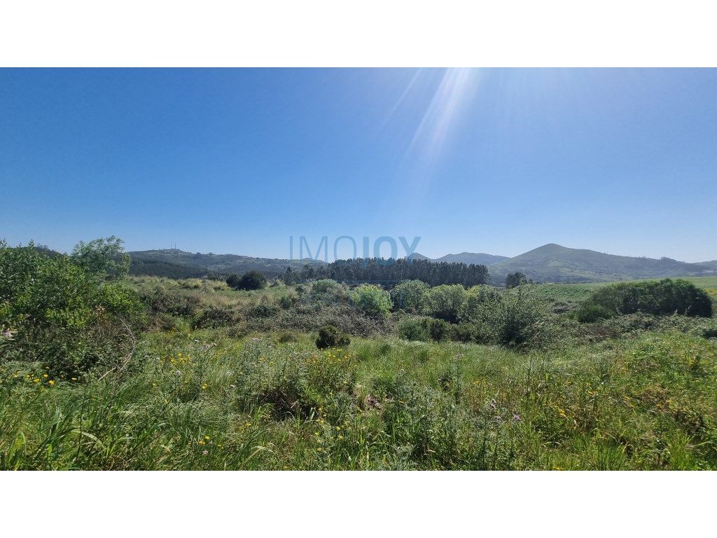 Grundstück in Mafra, Portugal 136832m², Nr. 81713