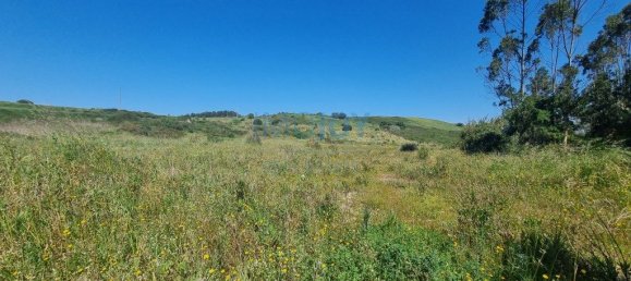 136832m² Land in Mafra, Portugal No. 81713 2