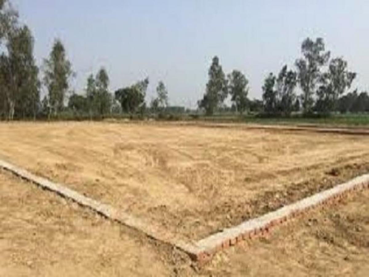  Land in Mohali, India No. 30904