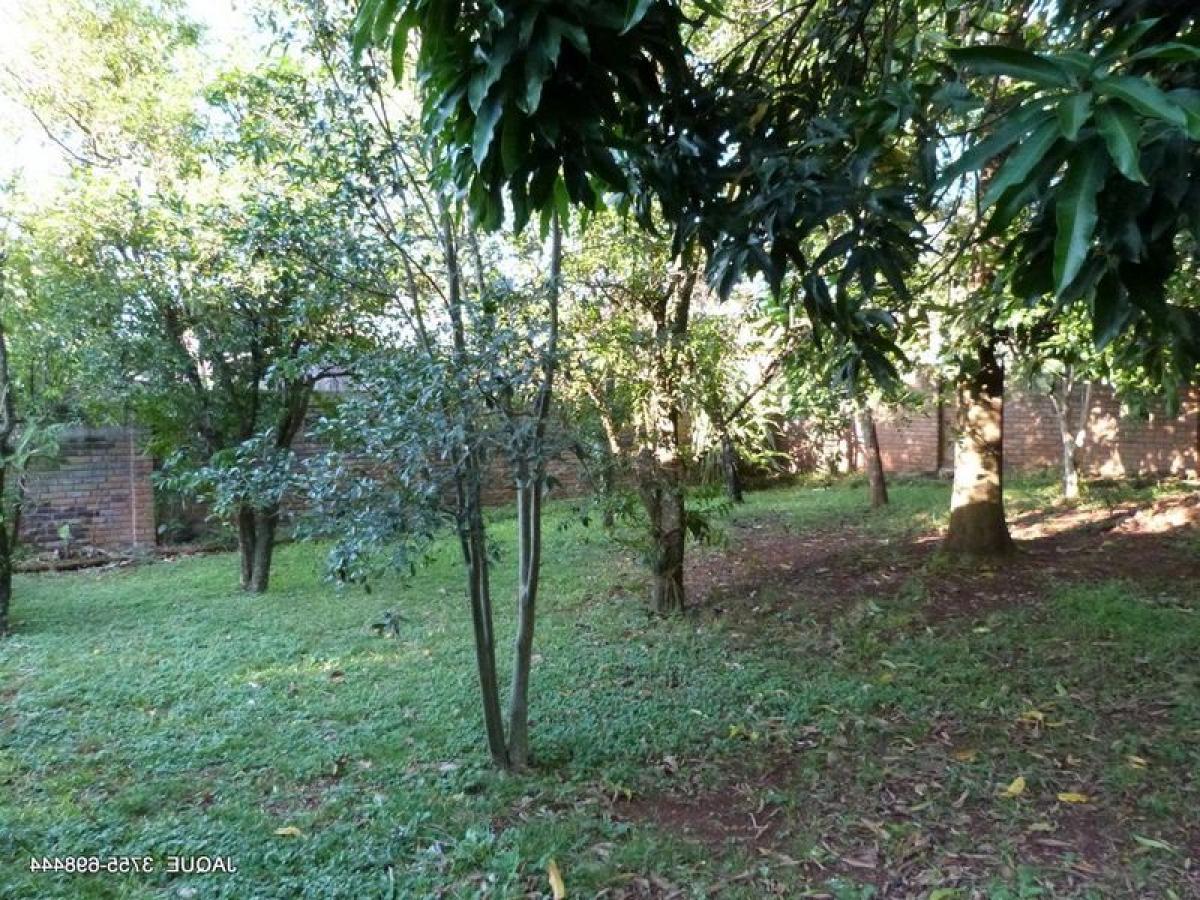 4 bedrooms House in Misiones, Argentina No. 3286