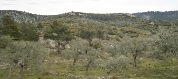 Hotel in Thasos, Greece 16000m², Nr. 7954 6