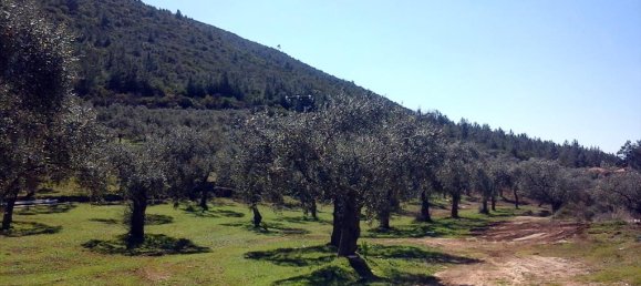 Hotel in Thasos, Greece 16000m², Nr. 7954 7