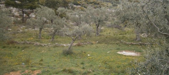 Hotel in Thasos, Greece 16000m², Nr. 7954 5