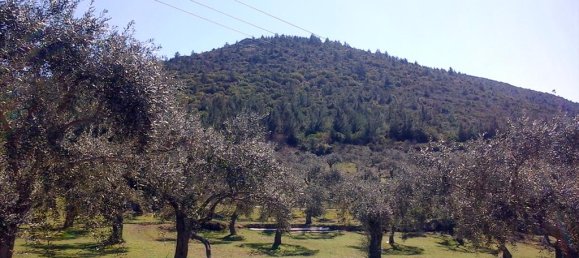 Hotel in Thasos, Greece 16000m², Nr. 7954 8