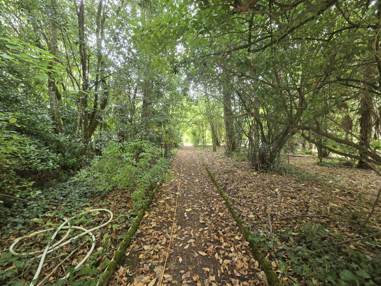 7 bedrooms House in Lauzun, France No. 306735