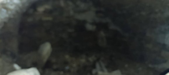 2-Zimmer Haus in Perloz, Italy, Nr. 277841 25