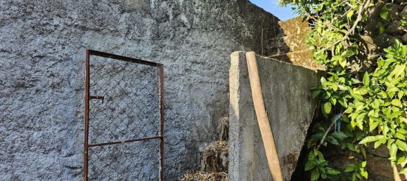 3 bedrooms House in Murca, Portugal No. 179812 4