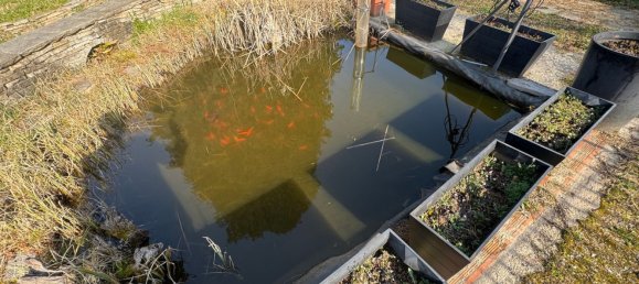 7 rooms Villa in Lavena Ponte Tresa, Italy No. 198887 5