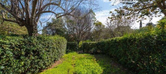 Дом с 3 комнатами в Будони, Италия № 15194 33