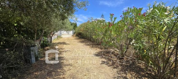 Villa T4 em Budoni, Italy N.º 304126 30