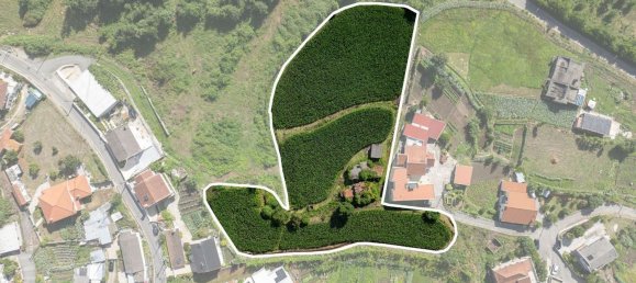 5 bedrooms House in Guimaraes, Portugal No. 170004 6