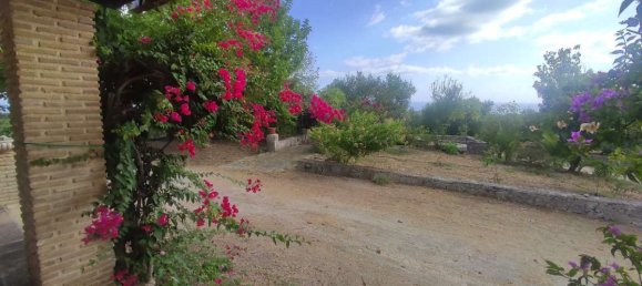 Moradia T4 em Zakynthos, Greece N.º 8553 21