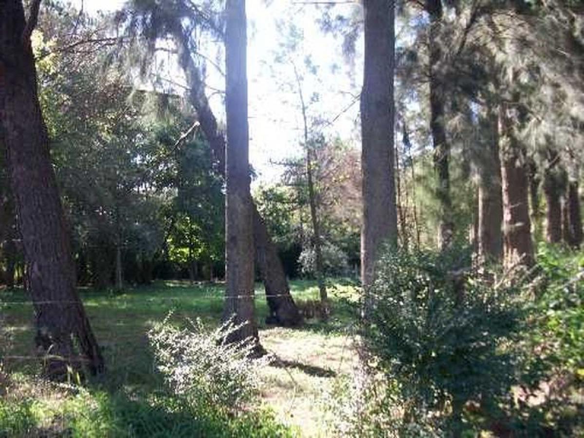  Land in Malvinas Argentinas, Argentina No. 39249