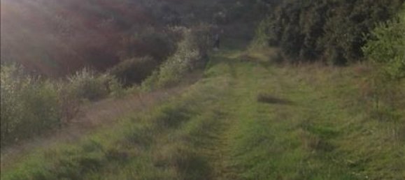 12737m² Hotel in Mygdonia, Greece No. 5797 3