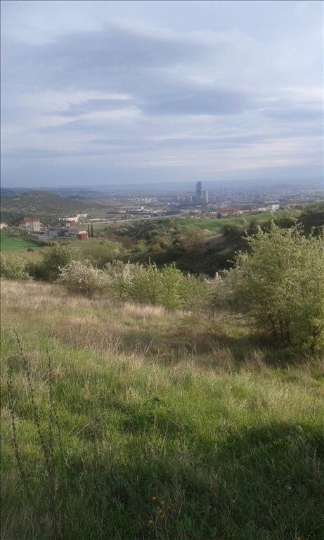 12737m² Hotel in Mygdonia, Greece No. 5797