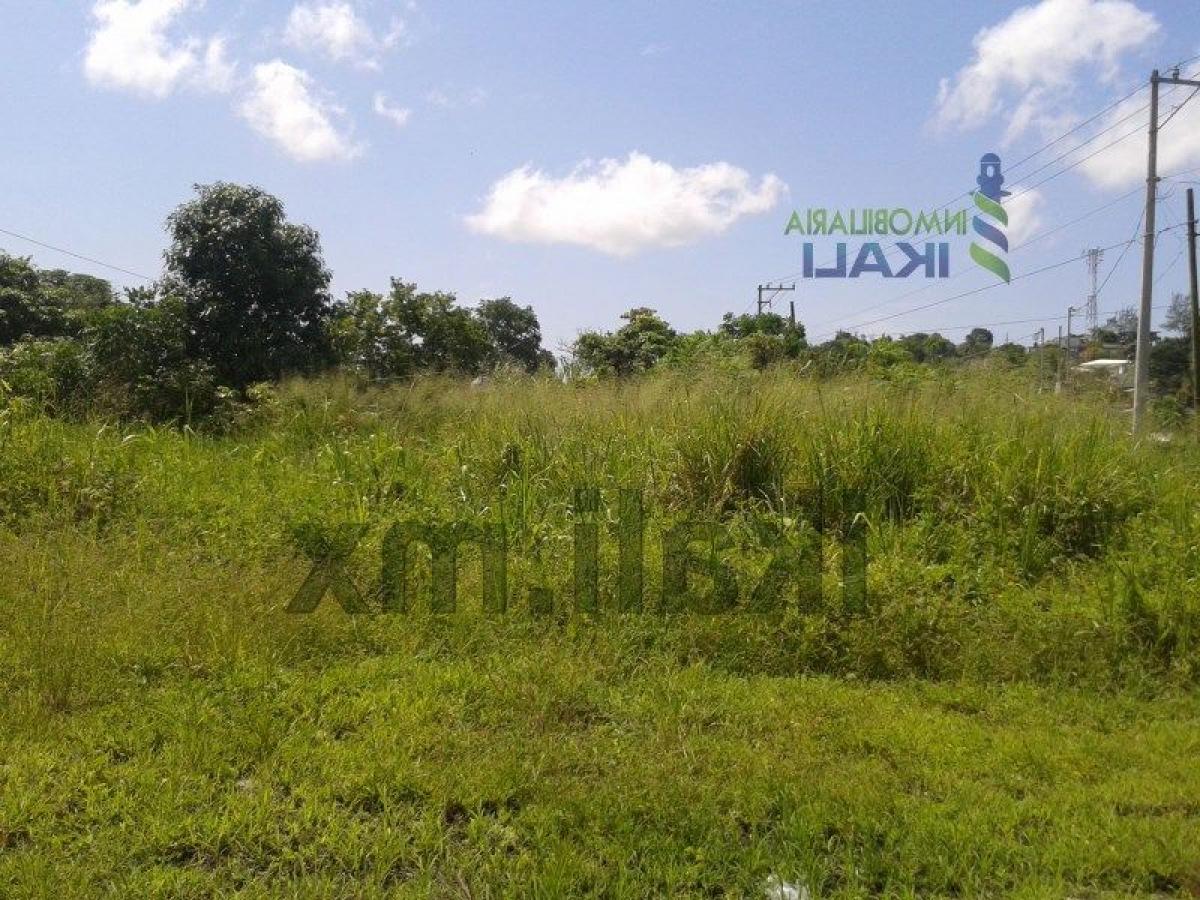 Terrain à Veracruz, Mexico No. 205163