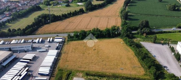 Grundstück in Gadesco Pieve Delmona, Italy 4400m², Nr. 169731 3