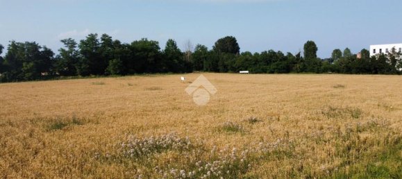 Grundstück in Gadesco Pieve Delmona, Italy 4400m², Nr. 169731 13