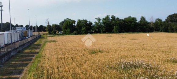 Grundstück in Gadesco Pieve Delmona, Italy 4400m², Nr. 169731 8