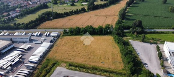 Grundstück in Gadesco Pieve Delmona, Italy 4400m², Nr. 169731 10