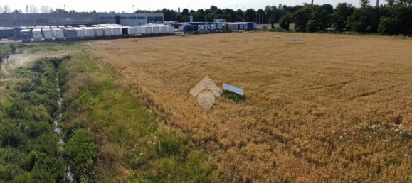 Grundstück in Gadesco Pieve Delmona, Italy 4400m², Nr. 169731 16