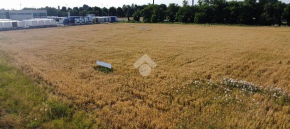 Grundstück in Gadesco Pieve Delmona, Italy 4400m², Nr. 169731 19