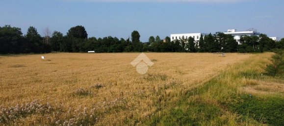 Grundstück in Gadesco Pieve Delmona, Italy 4400m², Nr. 169731 9