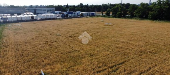 Grundstück in Gadesco Pieve Delmona, Italy 4400m², Nr. 169731 23