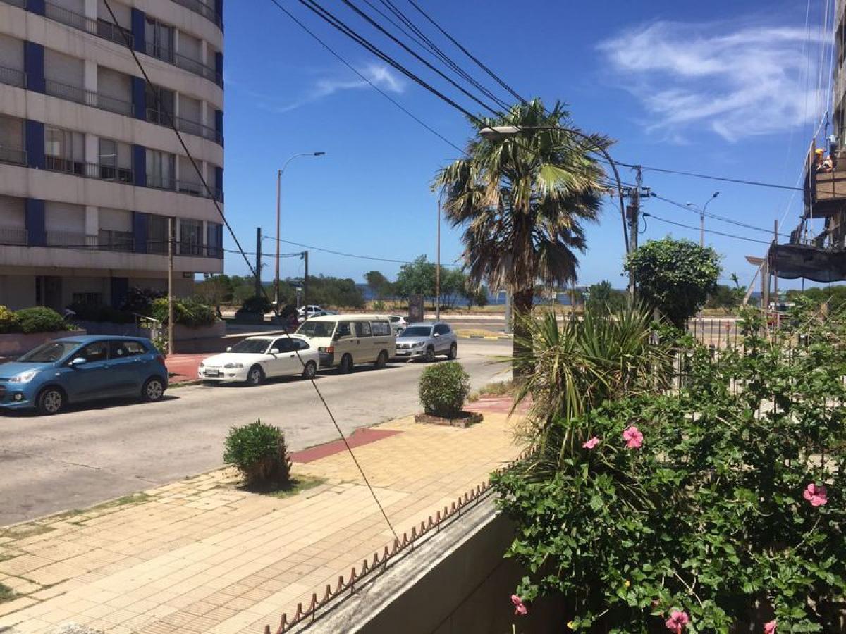 Studio in Montevideo, Uruguay No. 10573