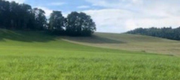 Grundstück in Magdalensberg, Austria, Nr. 207868 2