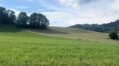 Grundstück in Magdalensberg, Austria, Nr. 207868