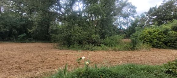 3 bedrooms House in Tarn-et-Garonne, France No. 312225 5