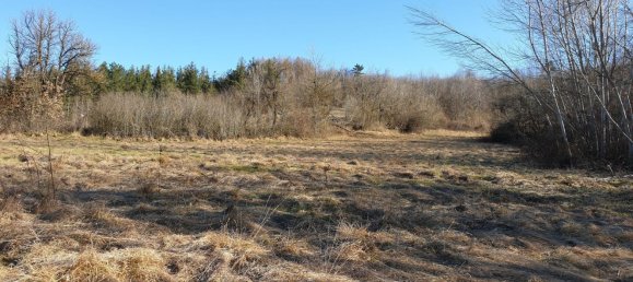 Casa de 10 habitaciónes en Ceva, Italy No. 152415 8